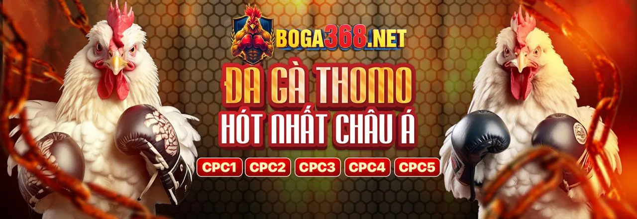 Giao diện cá cược đá gà 188bet 250