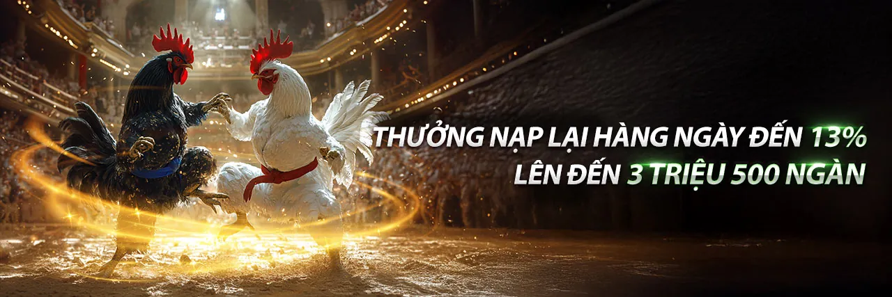 Cá Cược Thể Thao 188bet 250 Đá Gà